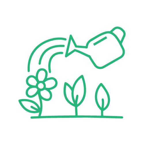 Emerging Entrepreneurs